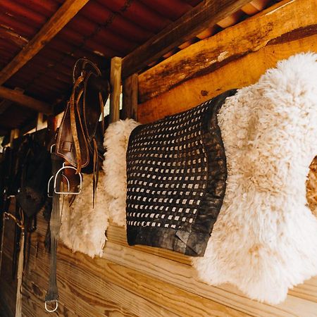 Floresta Secreta- Pousada Cachoeira Da Neve Urubici Ngoại thất bức ảnh