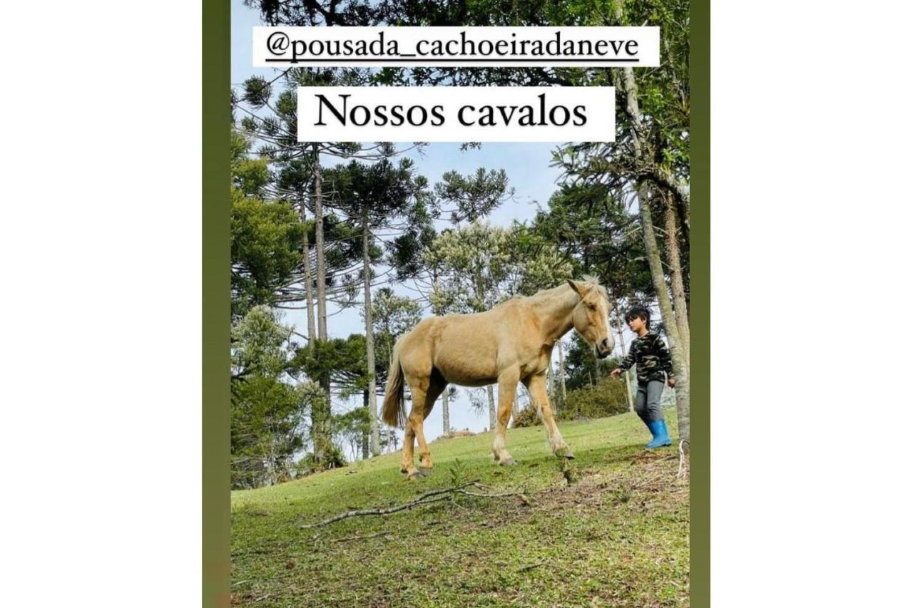 Floresta Secreta- Pousada Cachoeira Da Neve Urubici Ngoại thất bức ảnh
