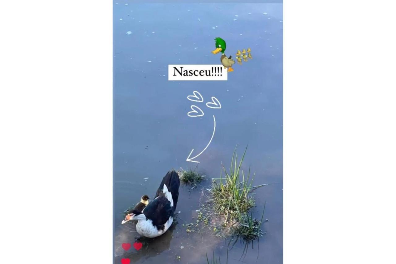 Floresta Secreta- Pousada Cachoeira Da Neve Urubici Ngoại thất bức ảnh