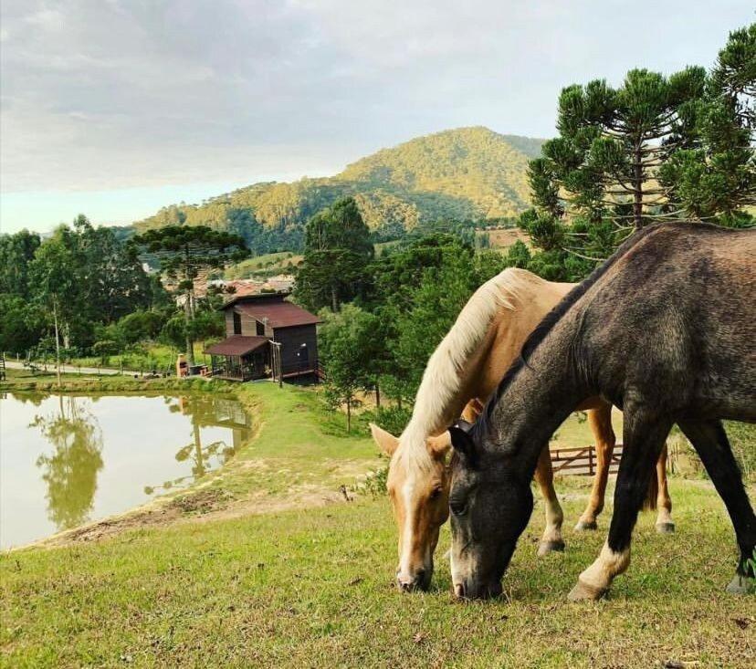 Floresta Secreta- Pousada Cachoeira Da Neve Urubici Ngoại thất bức ảnh
