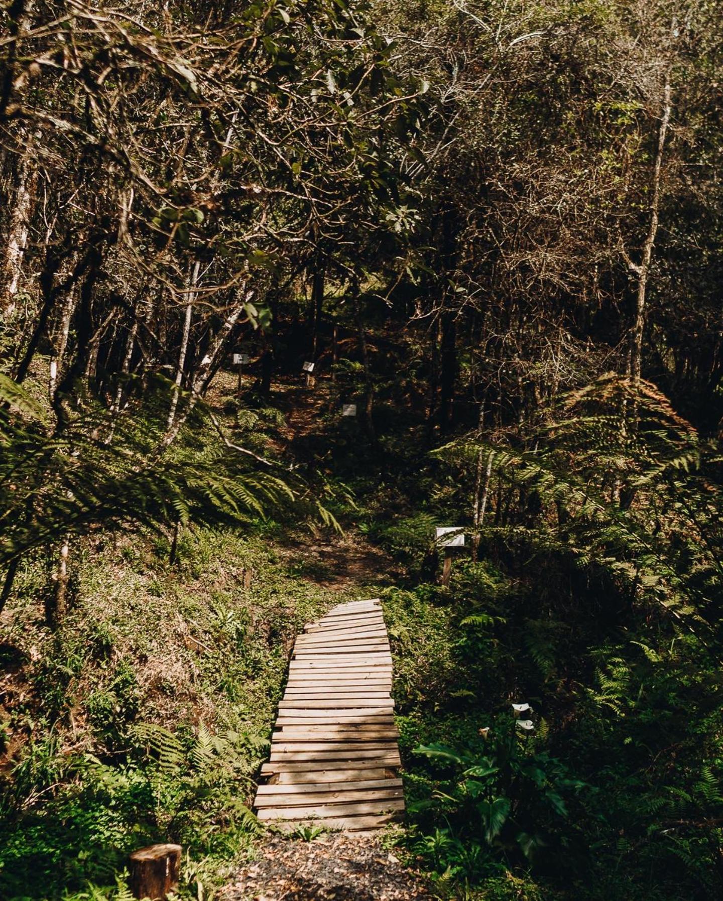 Floresta Secreta- Pousada Cachoeira Da Neve Urubici Ngoại thất bức ảnh
