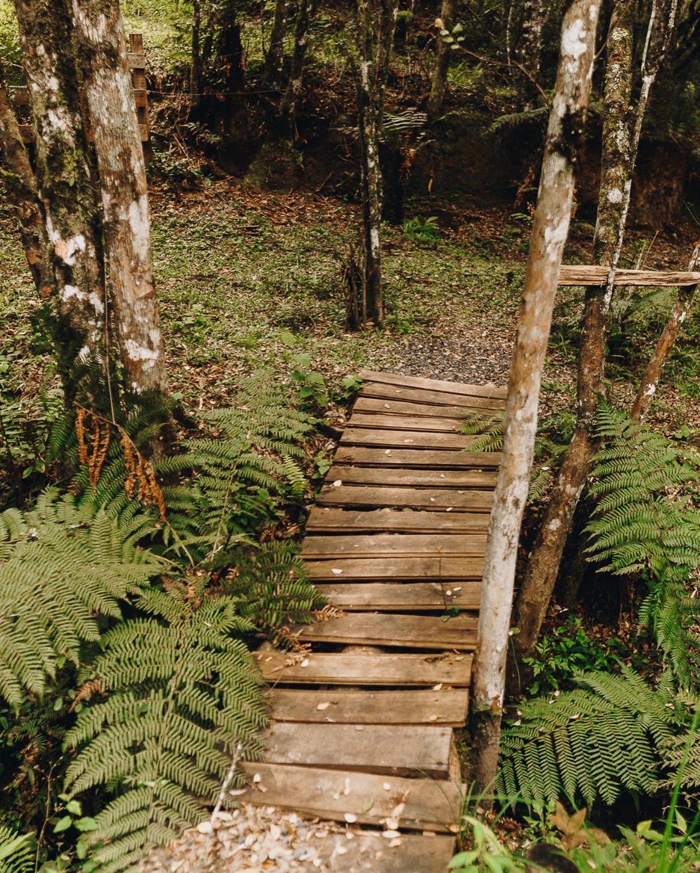 Floresta Secreta- Pousada Cachoeira Da Neve Urubici Ngoại thất bức ảnh